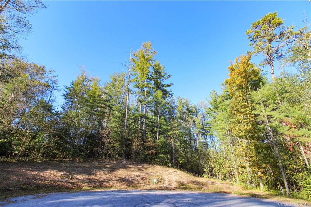 72 Crystal Cove Drive Hendersonville NC 28739