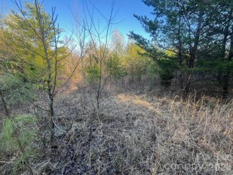 Tbd Southern Way Nebo NC 28761