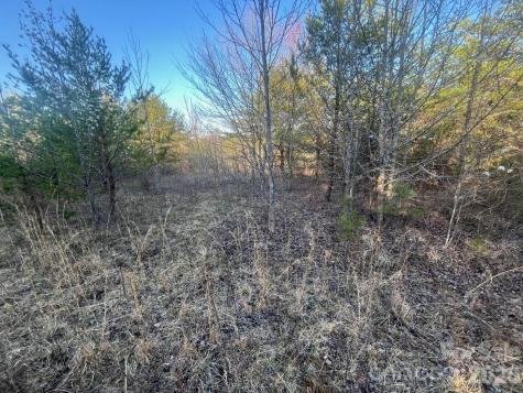 Tbd Southern Way Nebo NC 28761