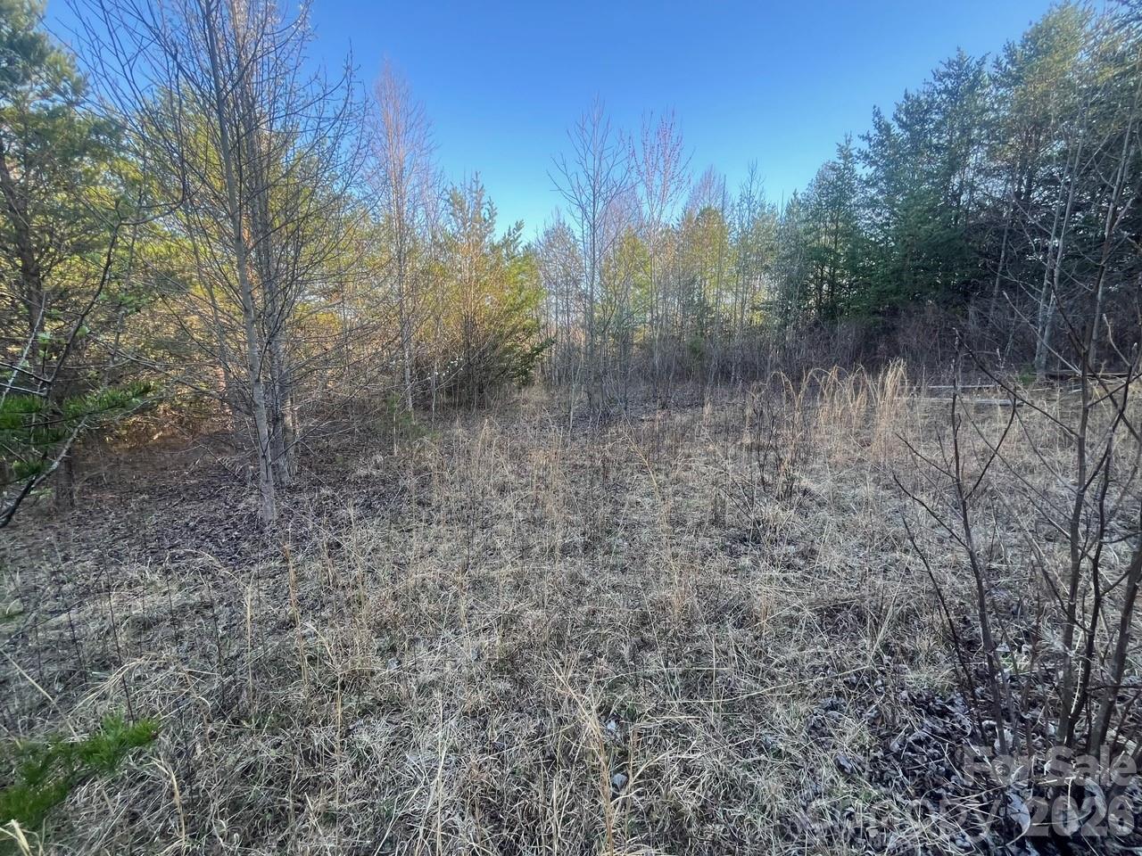 Tbd Southern Way Nebo NC 28761