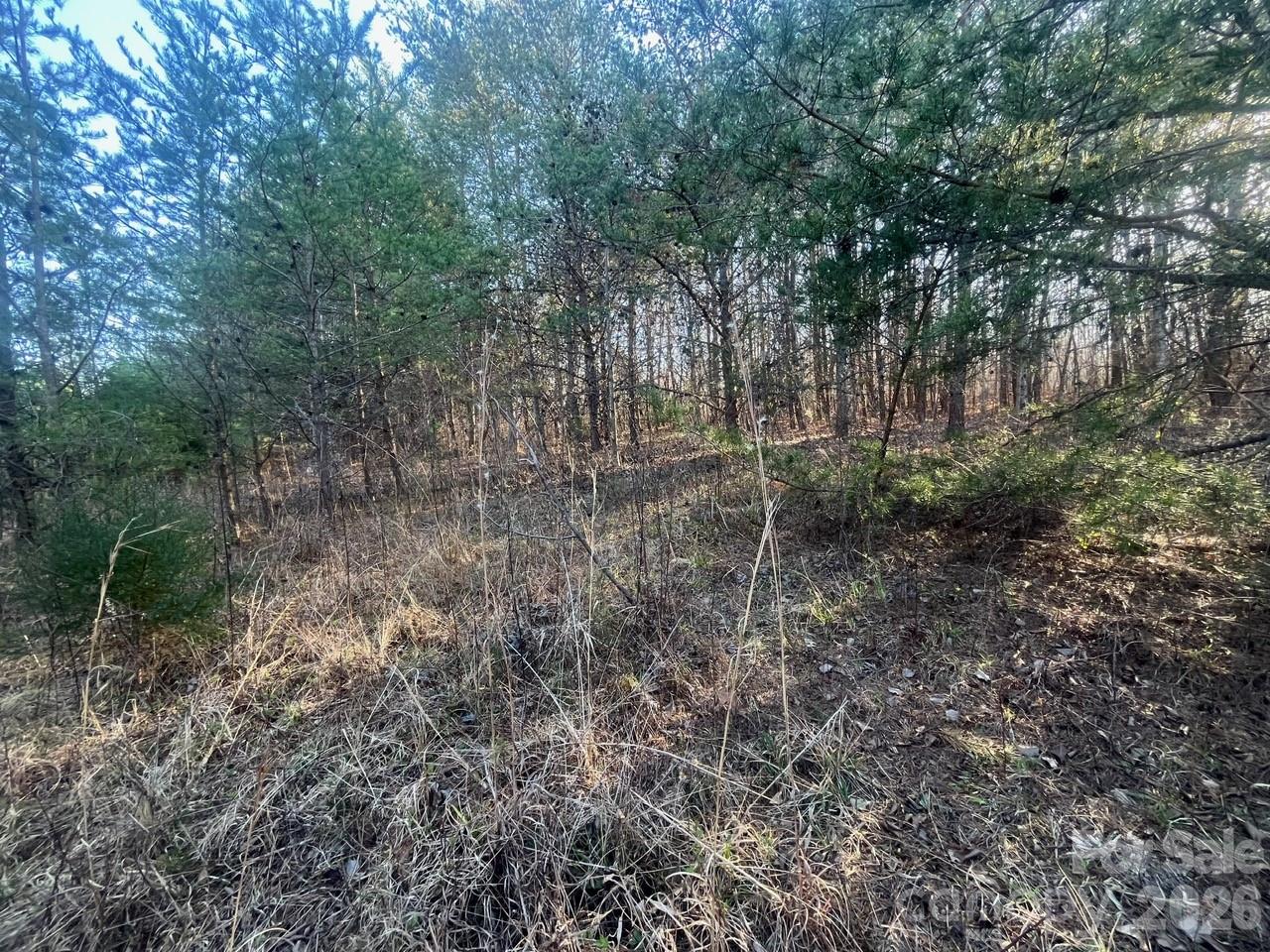 Tbd Southern Way Nebo NC 28761