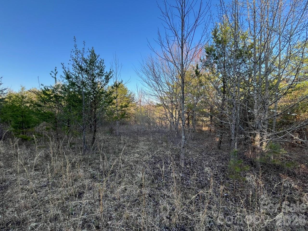 Tbd Southern Way Nebo NC 28761