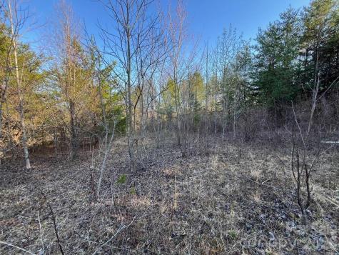 Tbd Southern Way Nebo NC 28761