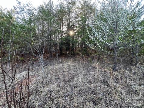 Tbd Southern Way Nebo NC 28761