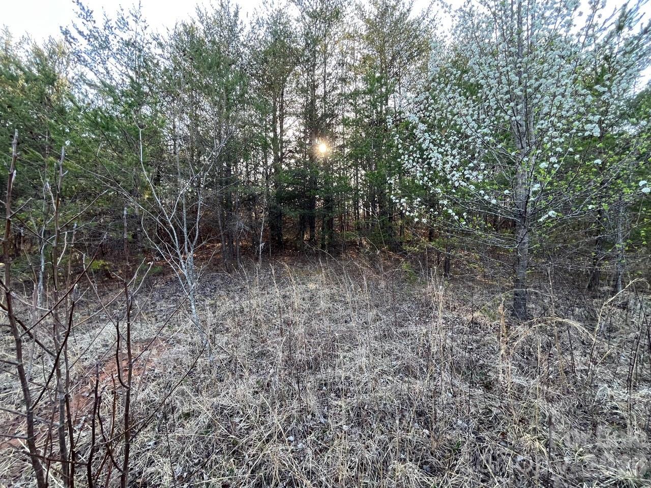 Tbd Southern Way Nebo NC 28761