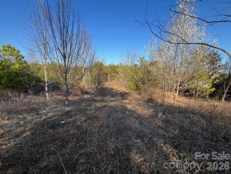 Tbd Southern Way Nebo NC 28761