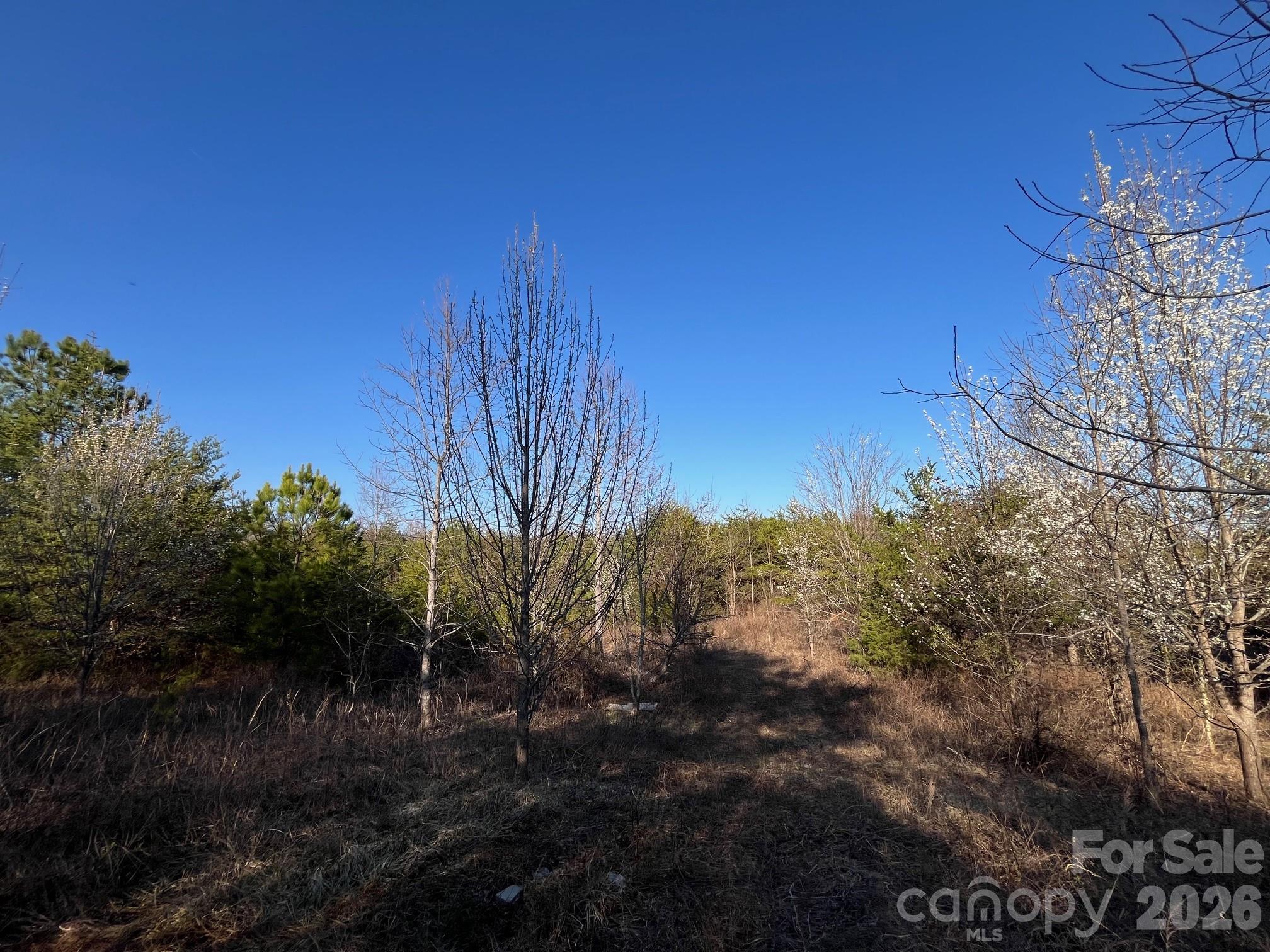 Tbd Southern Way Nebo NC 28761