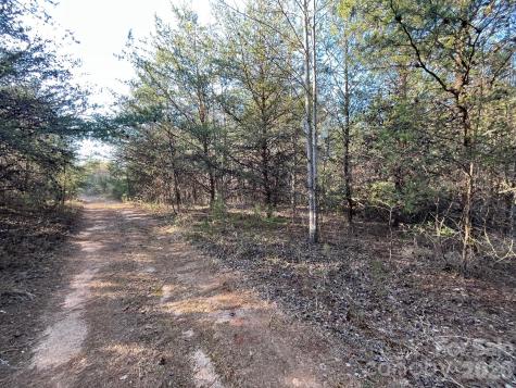 Tbd Southern Way Nebo NC 28761