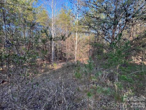Tbd Southern Way Nebo NC 28761