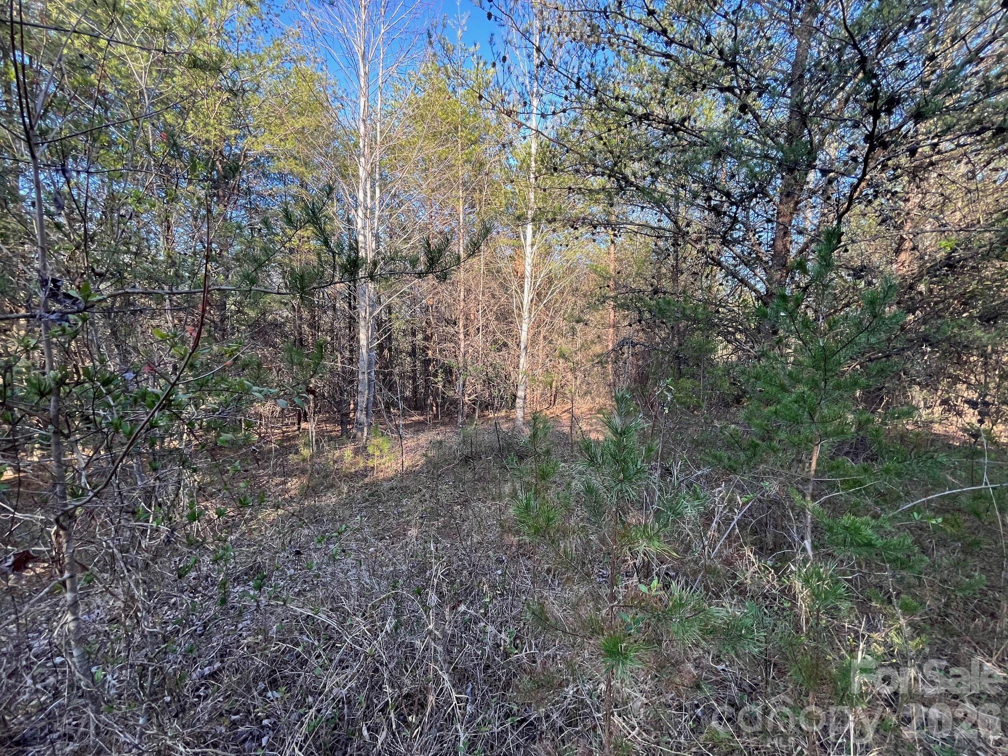 Tbd Southern Way Nebo NC 28761