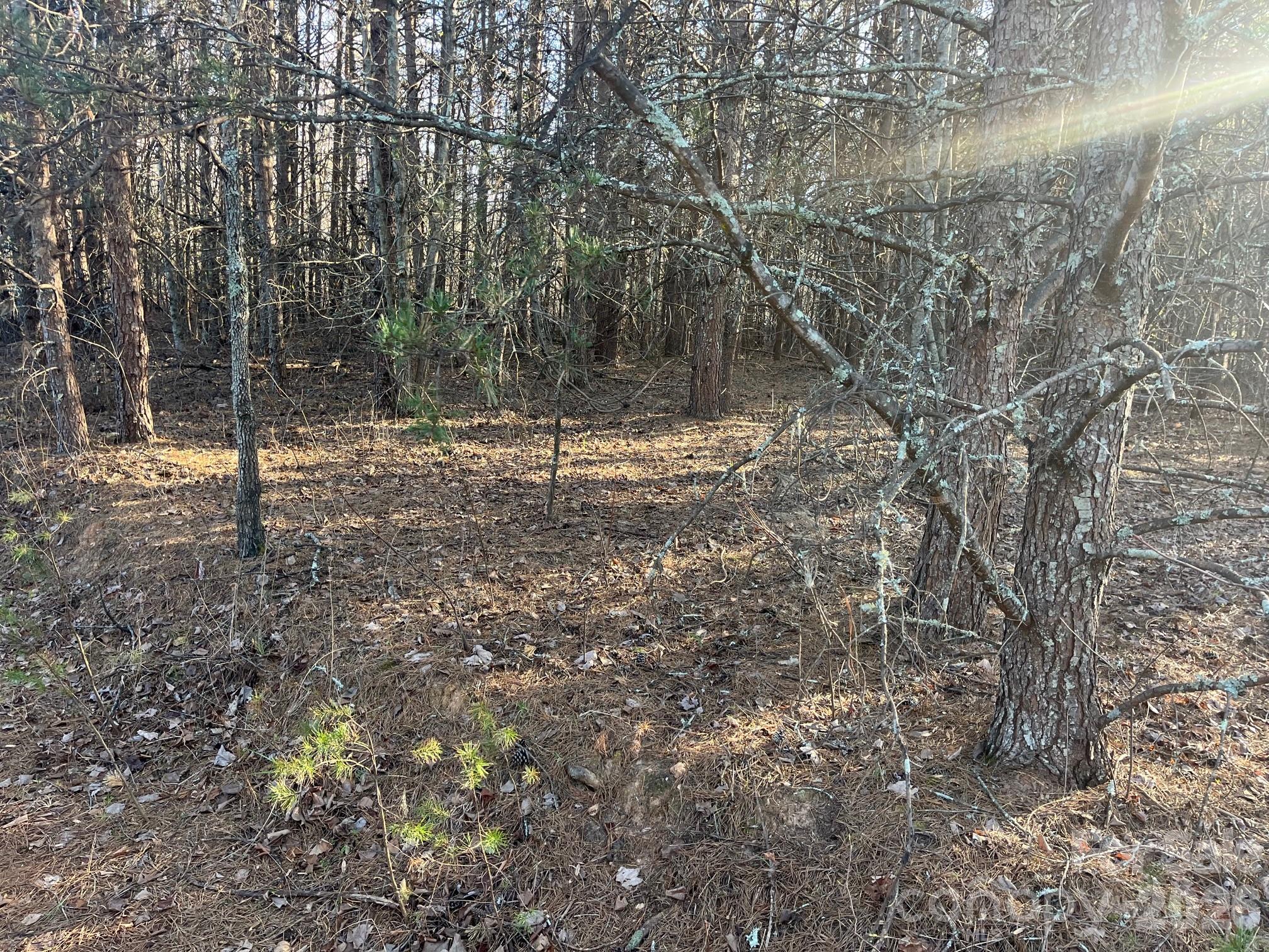 Tbd Southern Way Nebo NC 28761