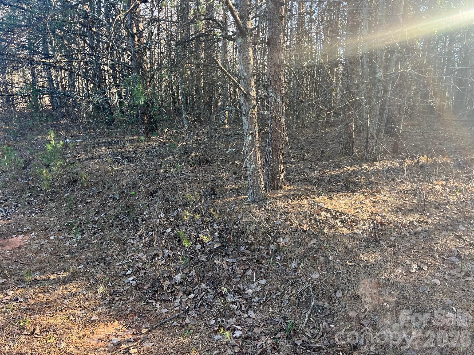 Tbd Southern Way Nebo NC 28761