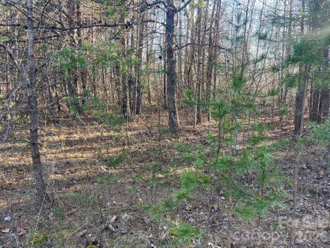 Tbd Southern Way Nebo NC 28761