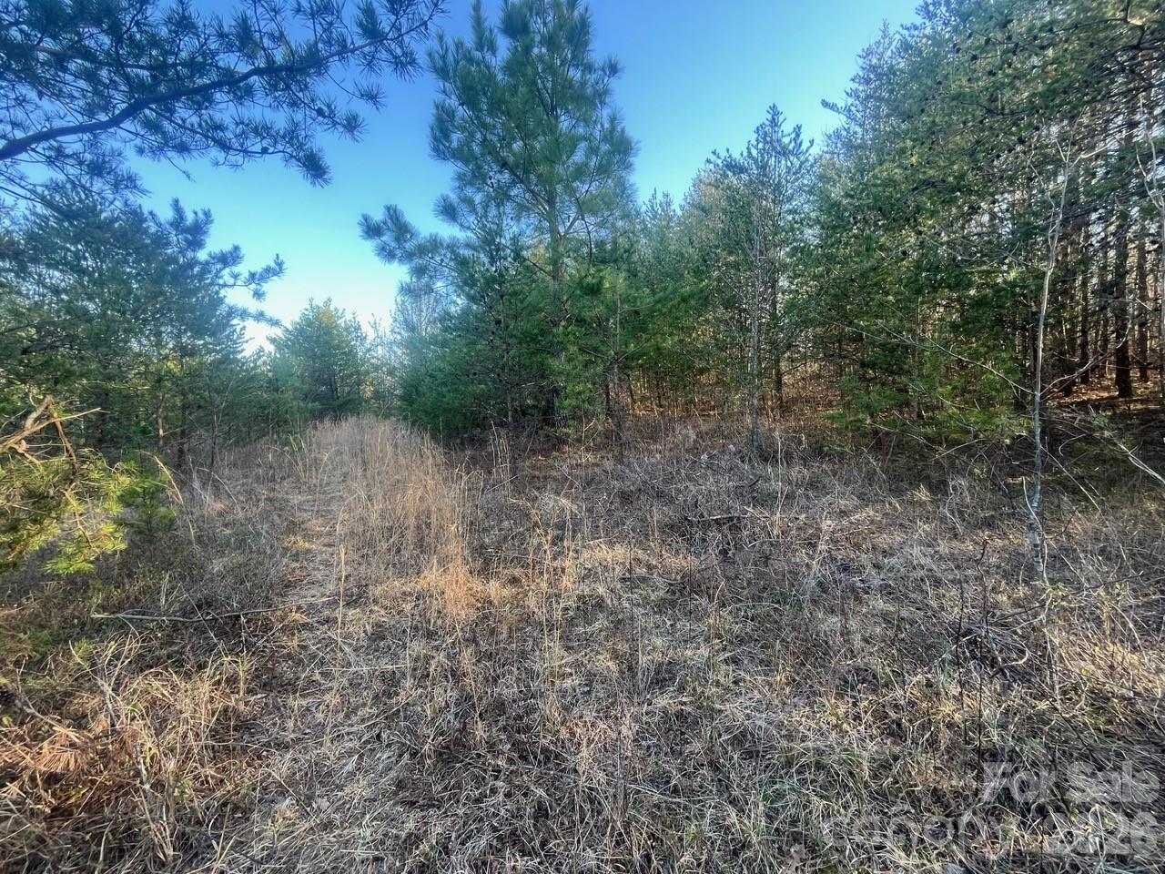 Tbd Southern Way Nebo NC 28761