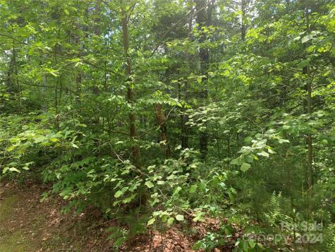 2.45 Acres, Lot 309, 1211 Winding Creek Way Lenoir NC 28645