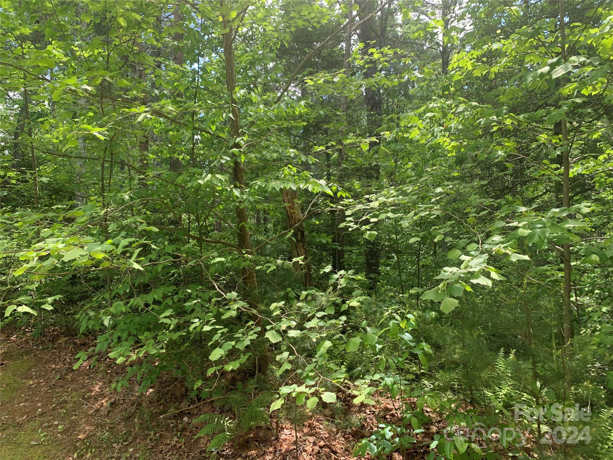 2.45 Acres, Lot 309, 1211 Winding Creek Way Lenoir NC 28645