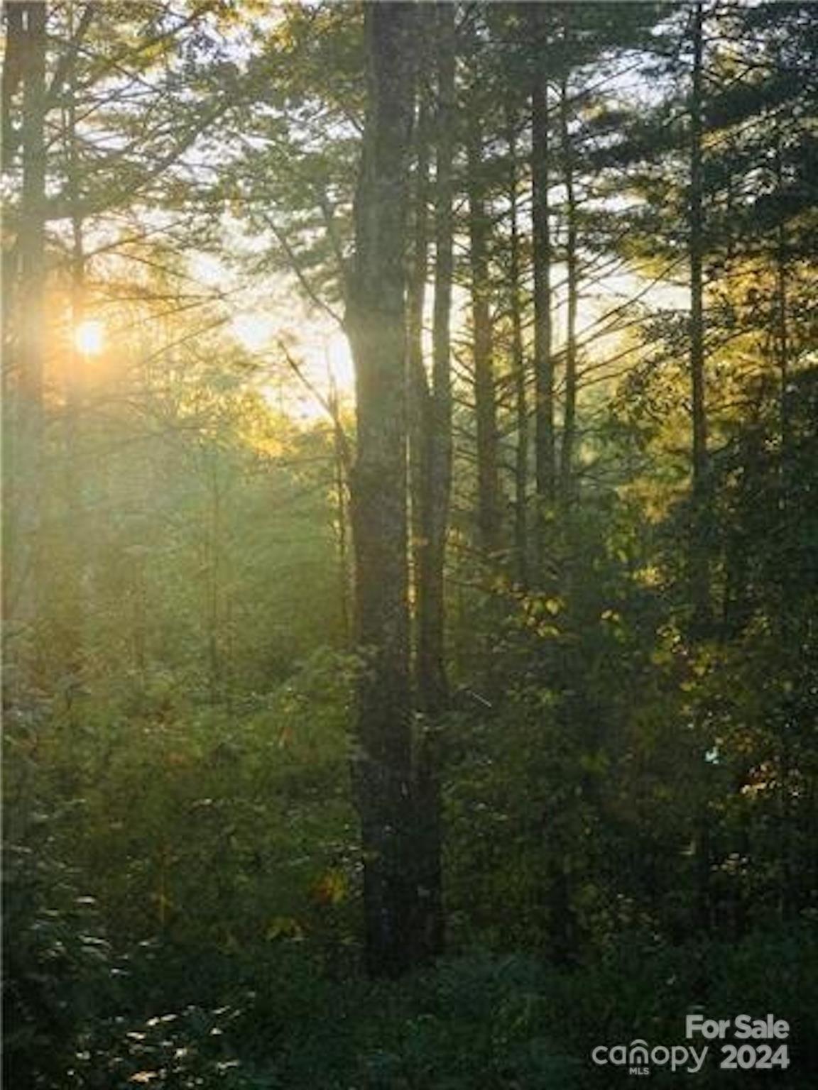 2.45 Acres, Lot 309, 1211 Winding Creek Way Lenoir NC 28645