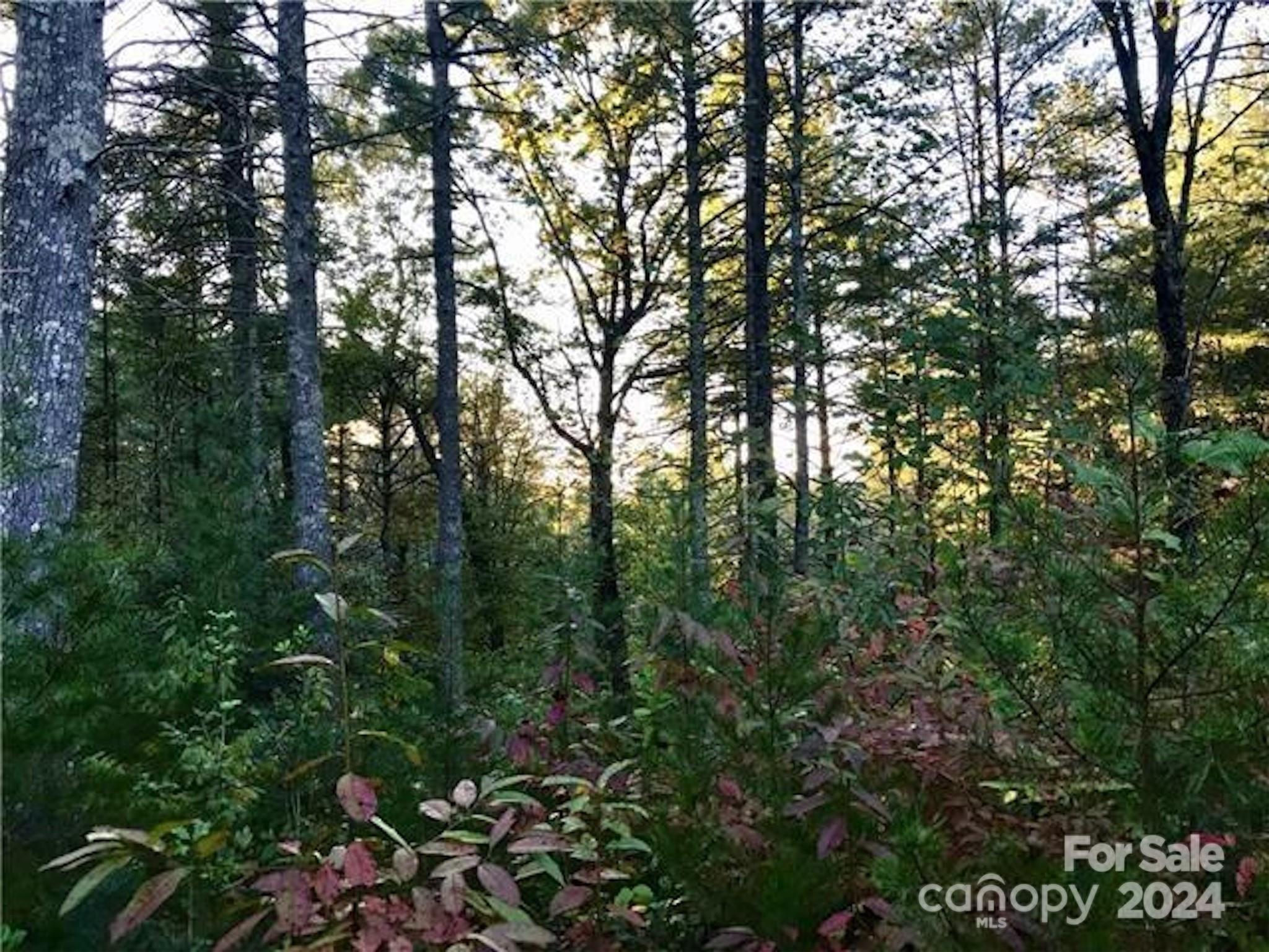 2.45 Acres, Lot 309, 1211 Winding Creek Way Lenoir NC 28645
