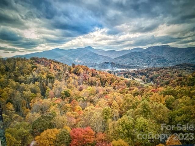 7 Cliff Lane Waynesville NC 28786