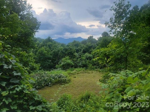 7 Cliff Lane Waynesville NC 28786