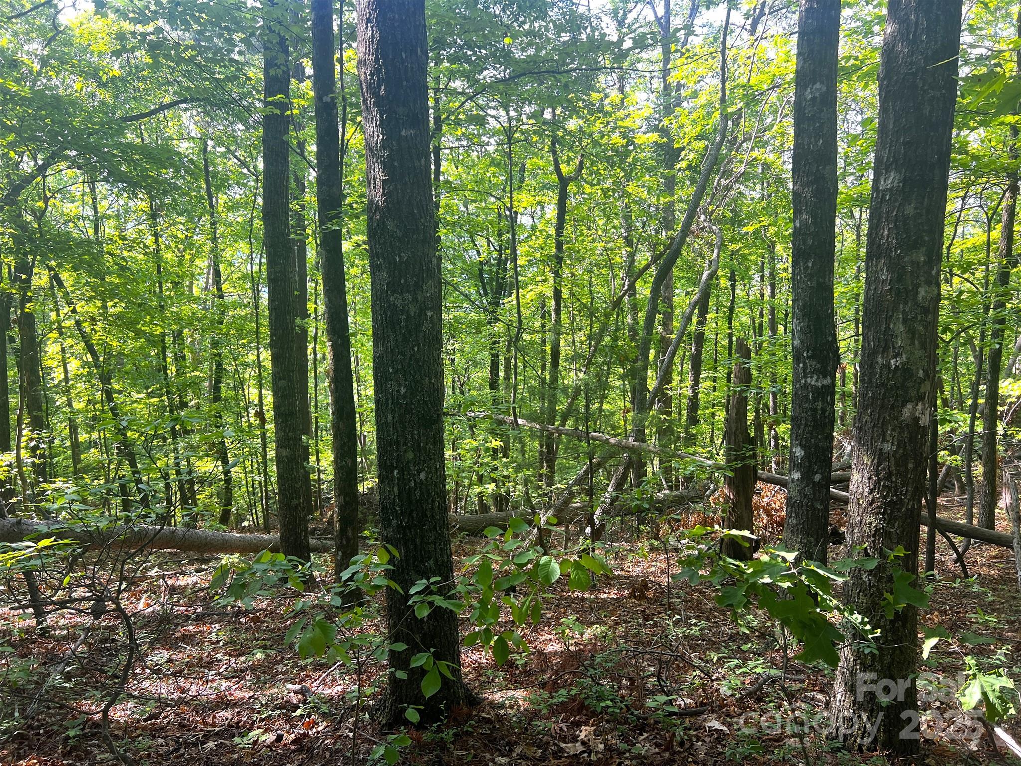 Lot 14r Arrowhead Ridge Brevard NC 28712