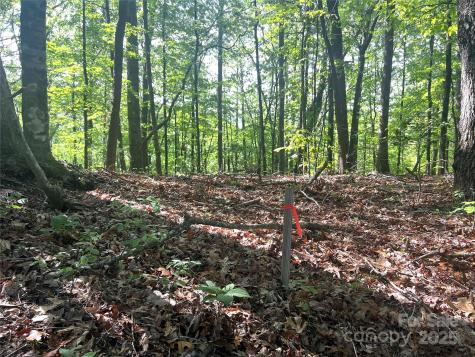 Lot 14r Arrowhead Ridge Brevard NC 28712