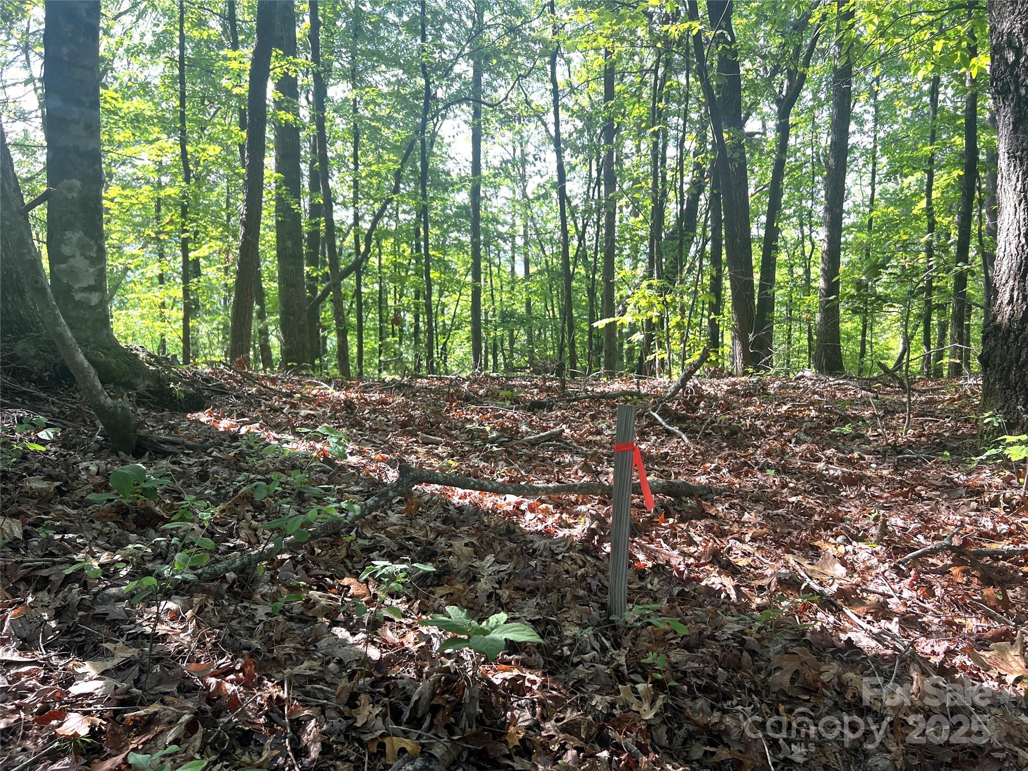 Lot 14r Arrowhead Ridge Brevard NC 28712