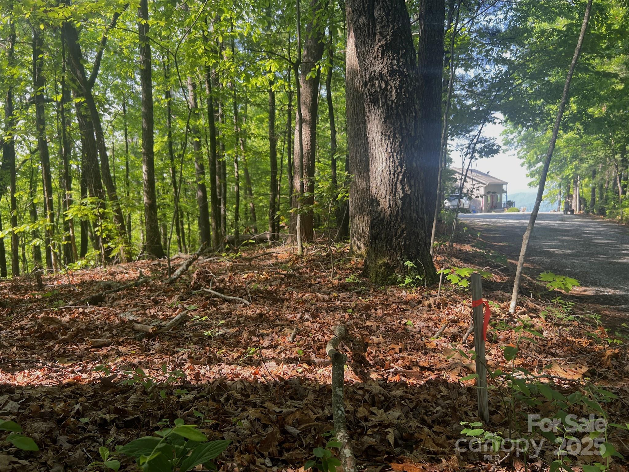 Lot 14r Arrowhead Ridge Brevard NC 28712