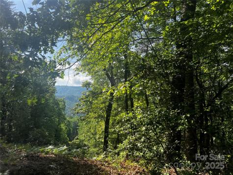 Lot 14r Arrowhead Ridge Brevard NC 28712