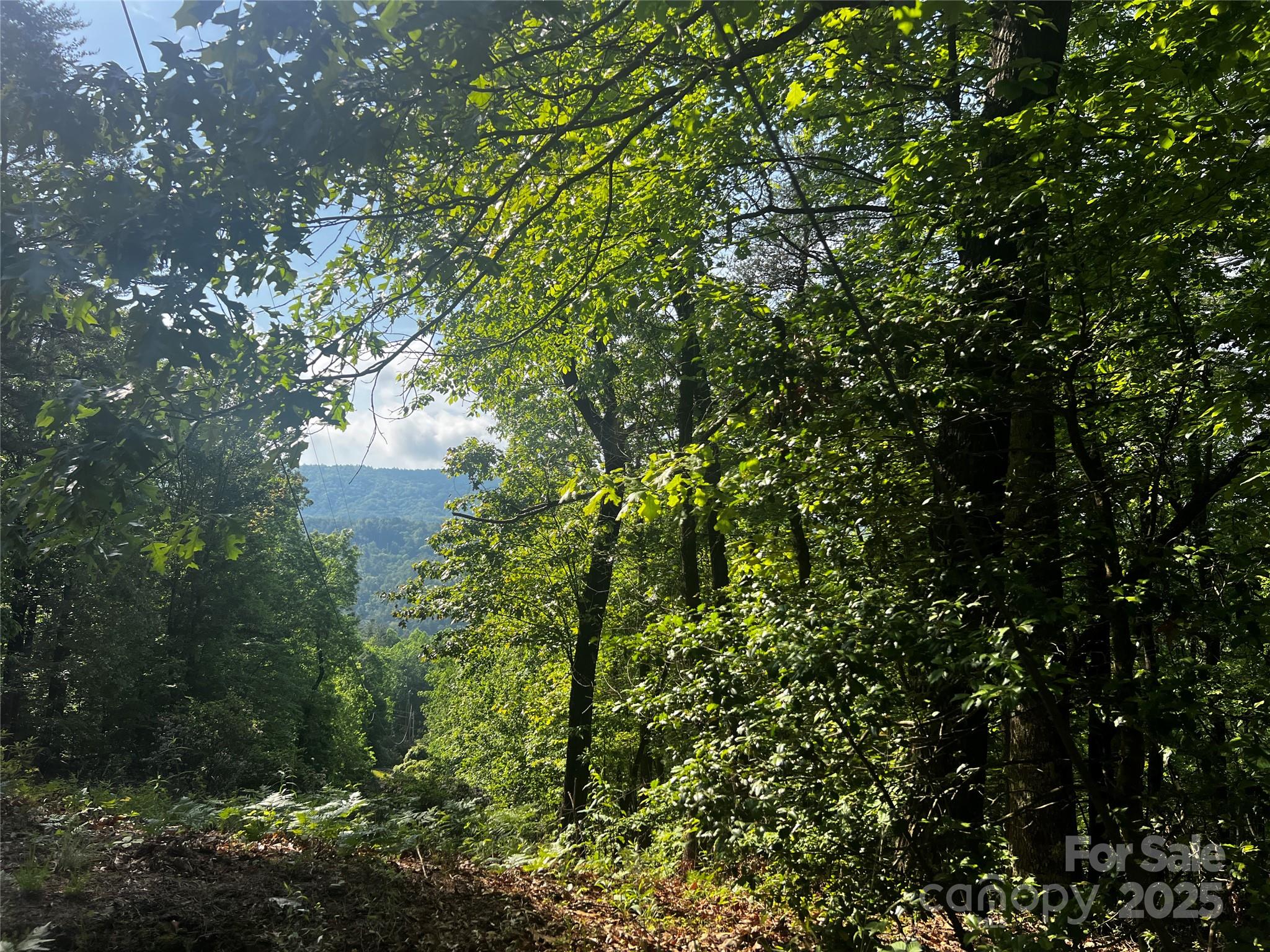 Lot 14r Arrowhead Ridge Brevard NC 28712