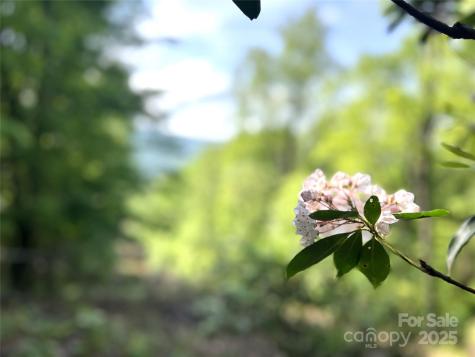 Lot 14r Arrowhead Ridge Brevard NC 28712