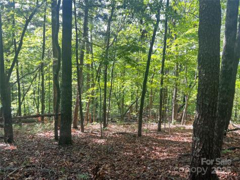 Lot 14r Arrowhead Ridge Brevard NC 28712