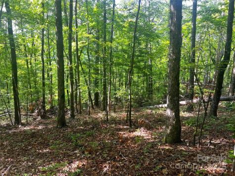 Lot 14r Arrowhead Ridge Brevard NC 28712