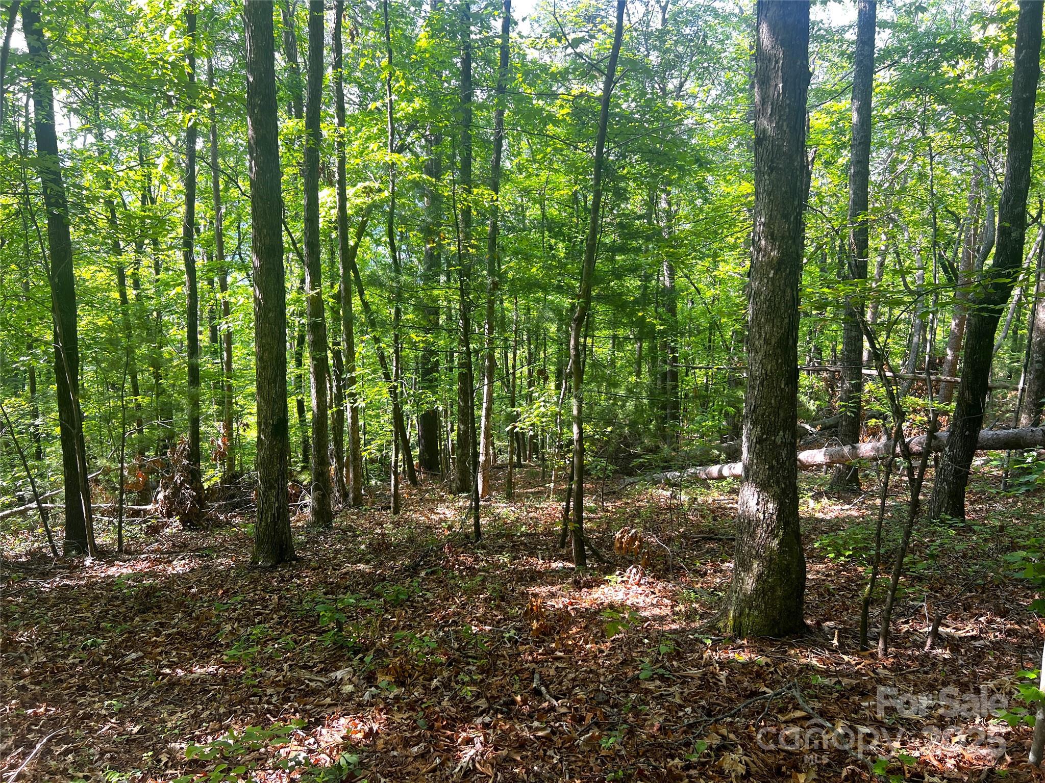 Lot 14r Arrowhead Ridge Brevard NC 28712