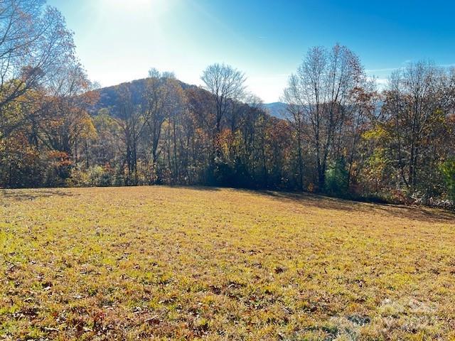 Lot 117 Autumn Sky Drive Hendersonville NC 28792