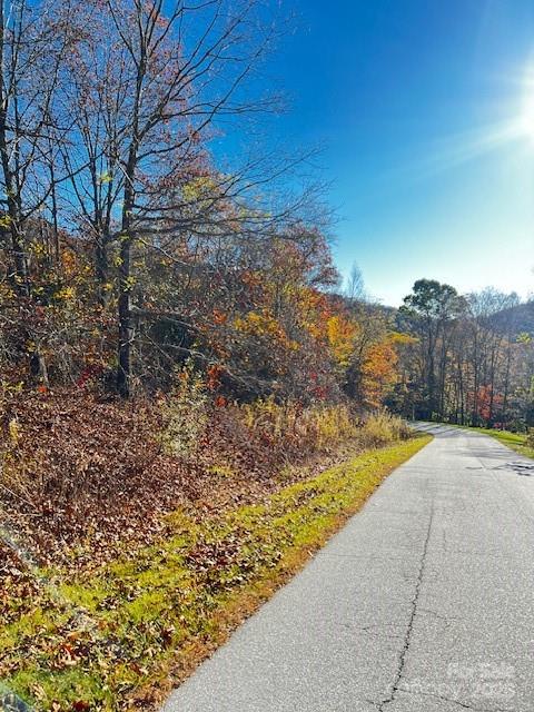 Lot 117 Autumn Sky Drive Hendersonville NC 28792