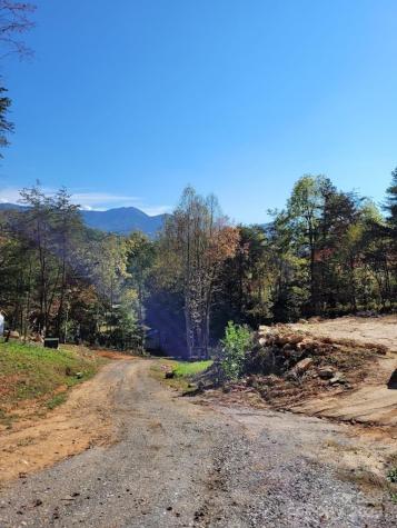53 Dakota Way Bryson City NC 28713