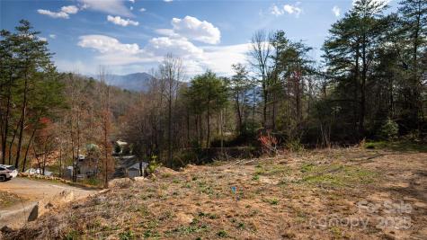 53 Dakota Way Bryson City NC 28713