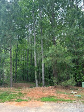 7300 Bay Cove Court Denver NC 28037