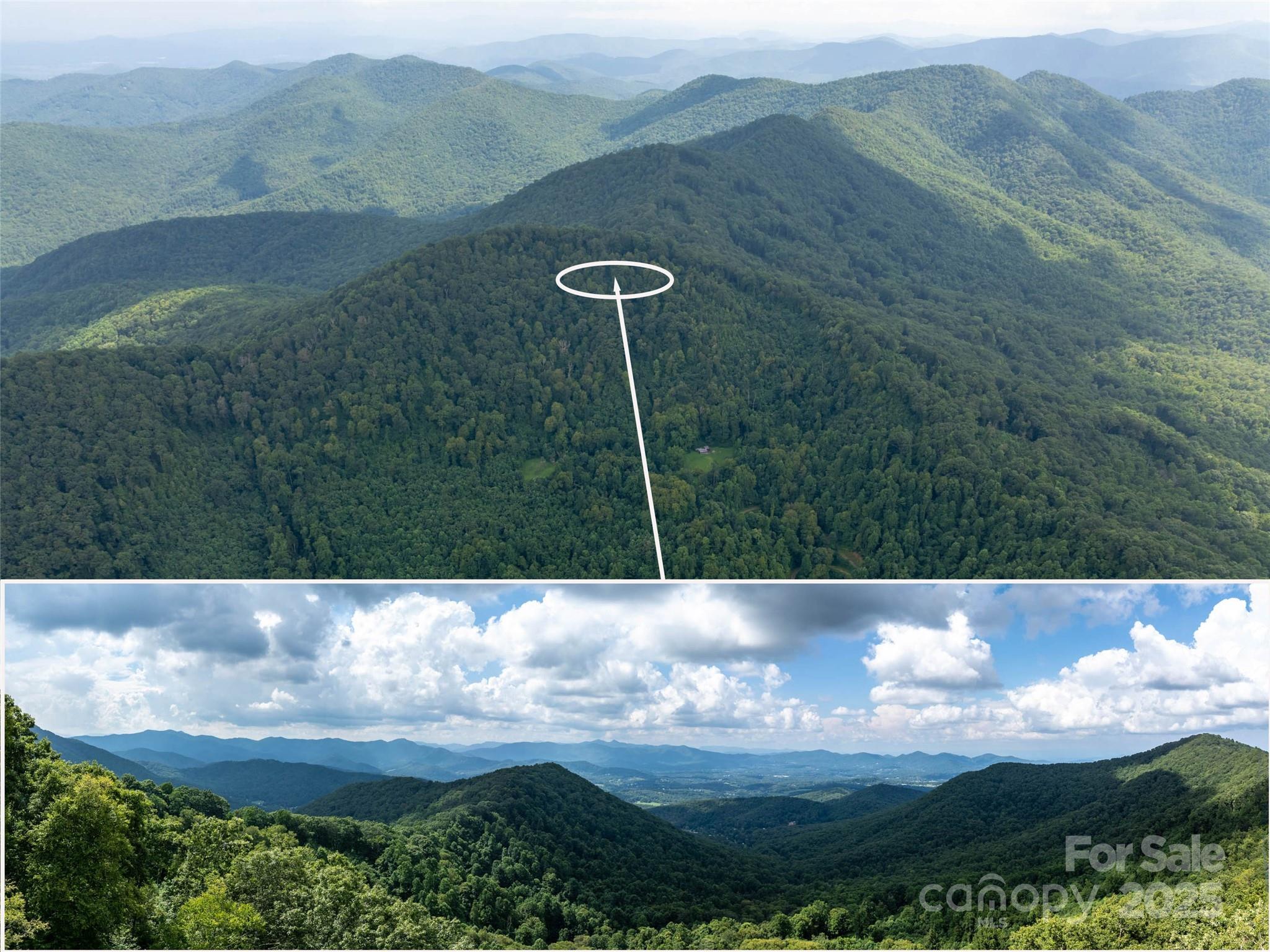99999 Billy Cove Road Candler NC 28715