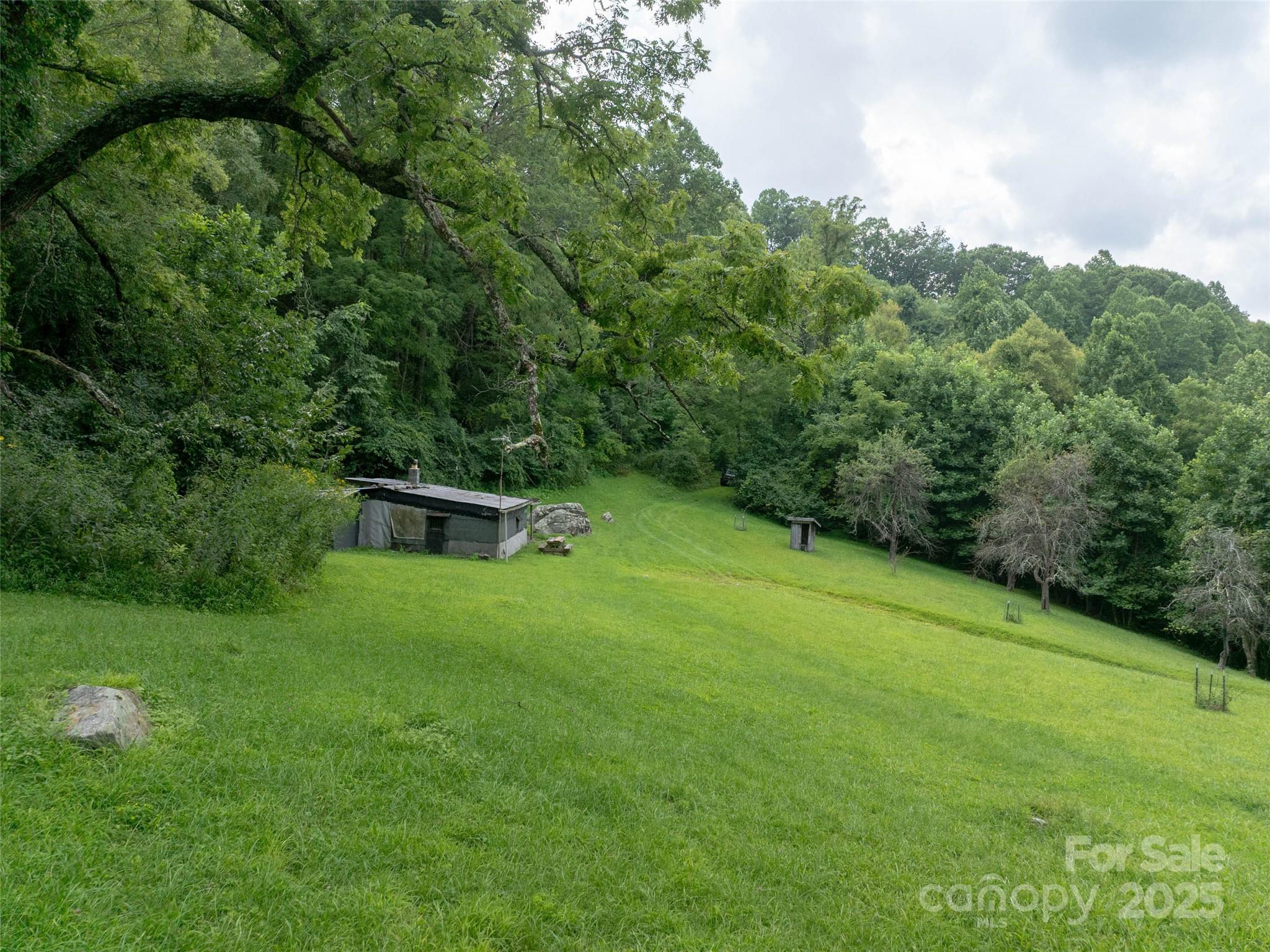 99999 Billy Cove Road Candler NC 28715