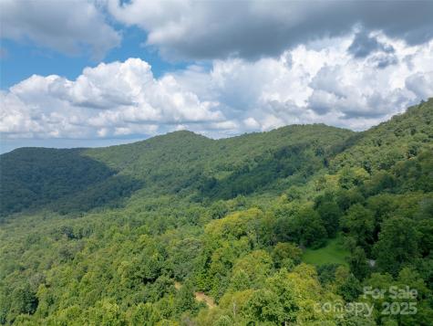 99999 Billy Cove Road Candler NC 28715