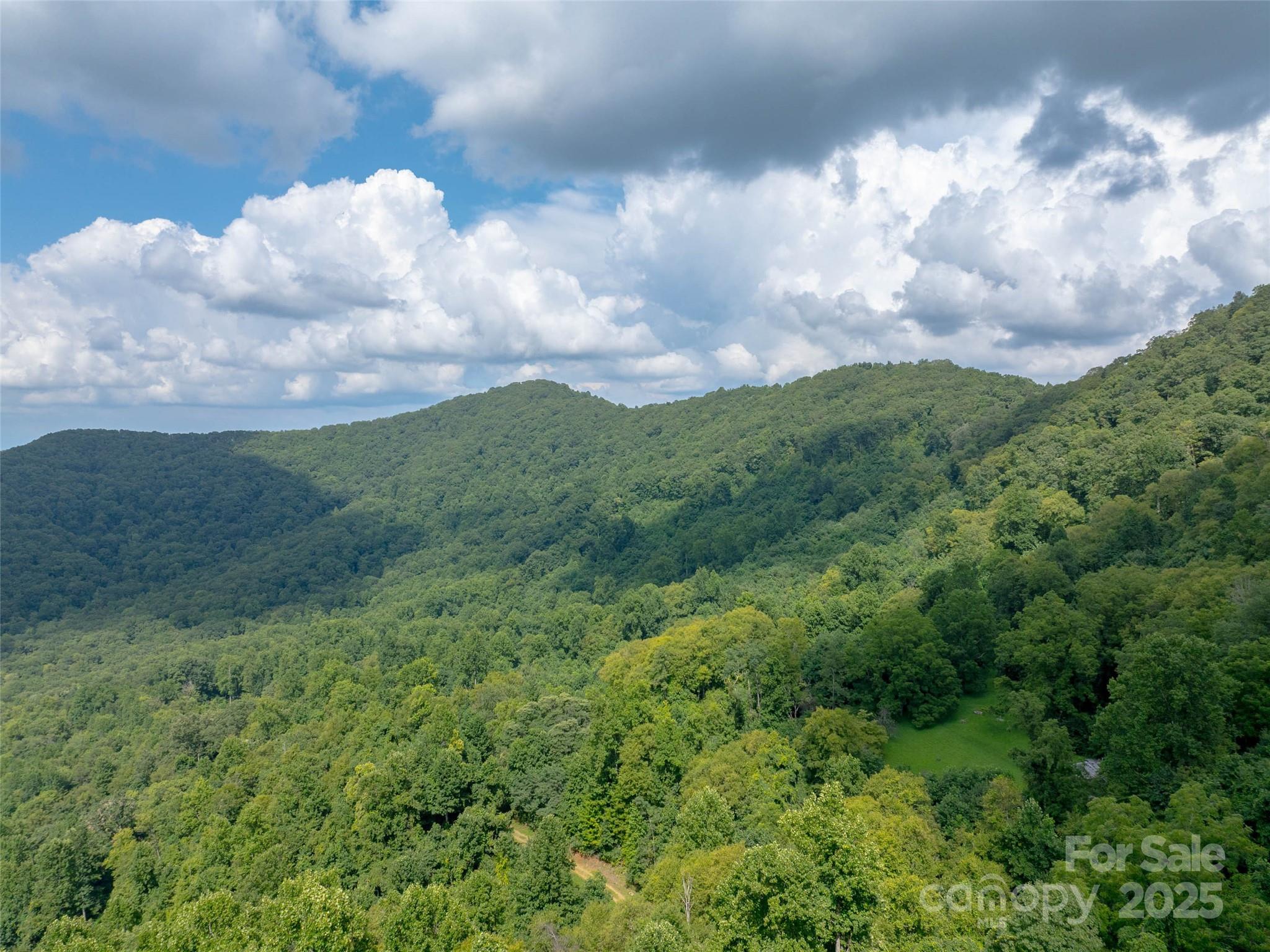 99999 Billy Cove Road Candler NC 28715