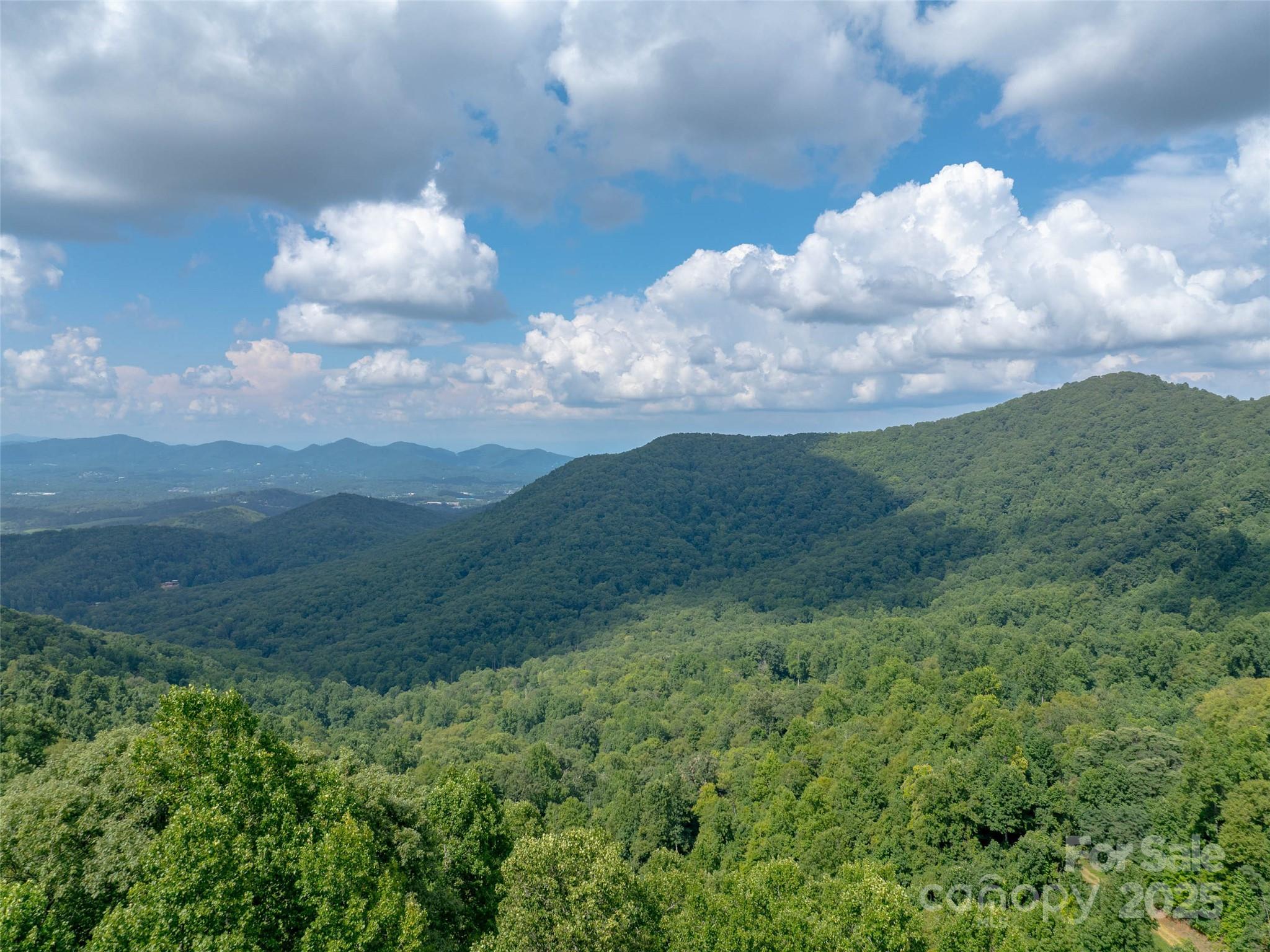99999 Billy Cove Road Candler NC 28715