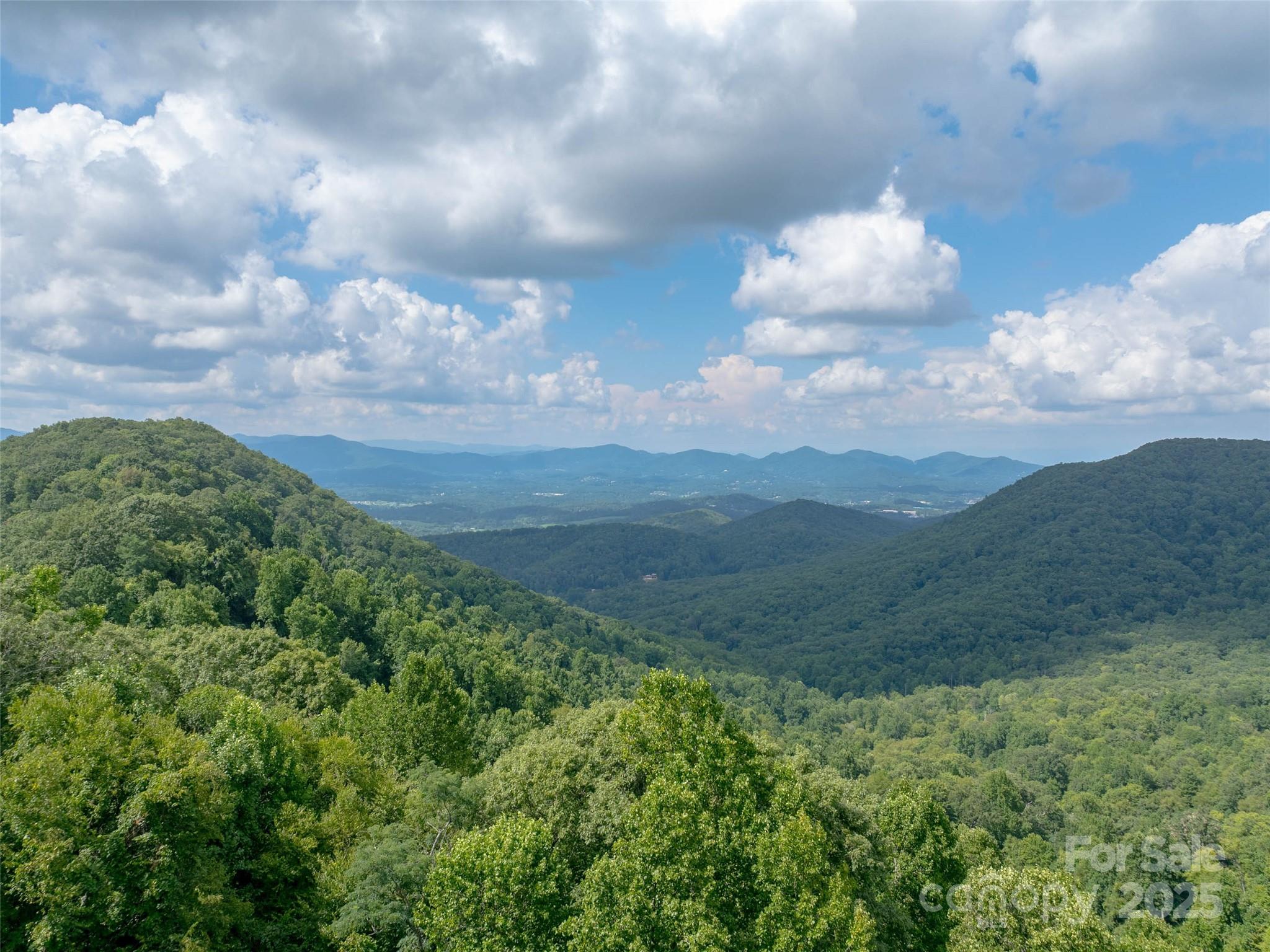 99999 Billy Cove Road Candler NC 28715