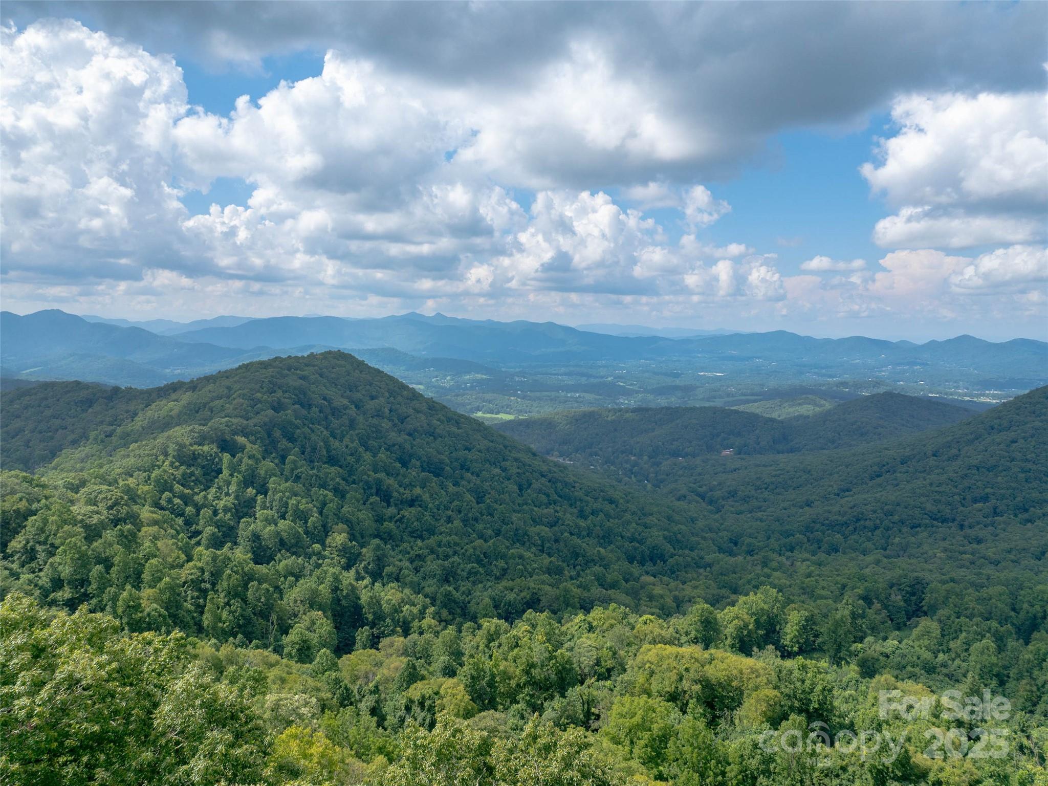 99999 Billy Cove Road Candler NC 28715