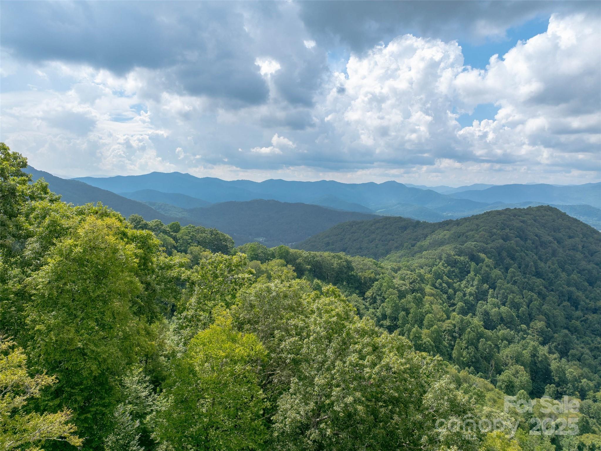 99999 Billy Cove Road Candler NC 28715