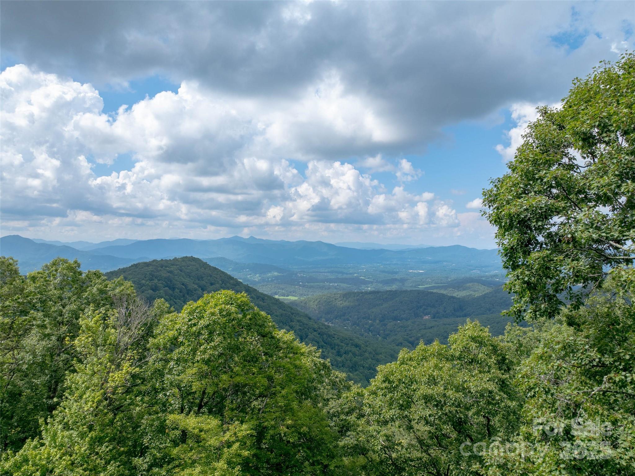 99999 Billy Cove Road Candler NC 28715