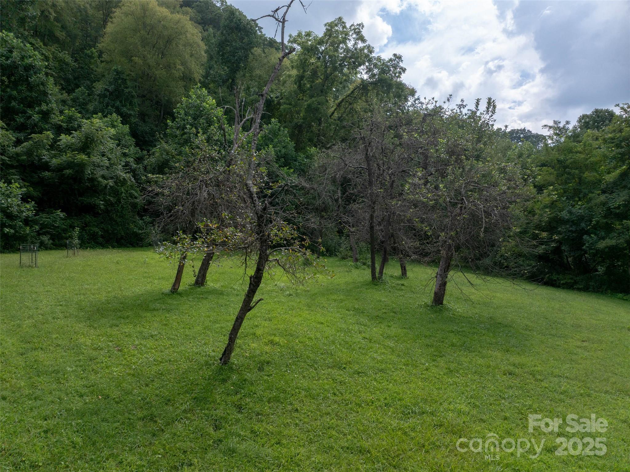99999 Billy Cove Road Candler NC 28715