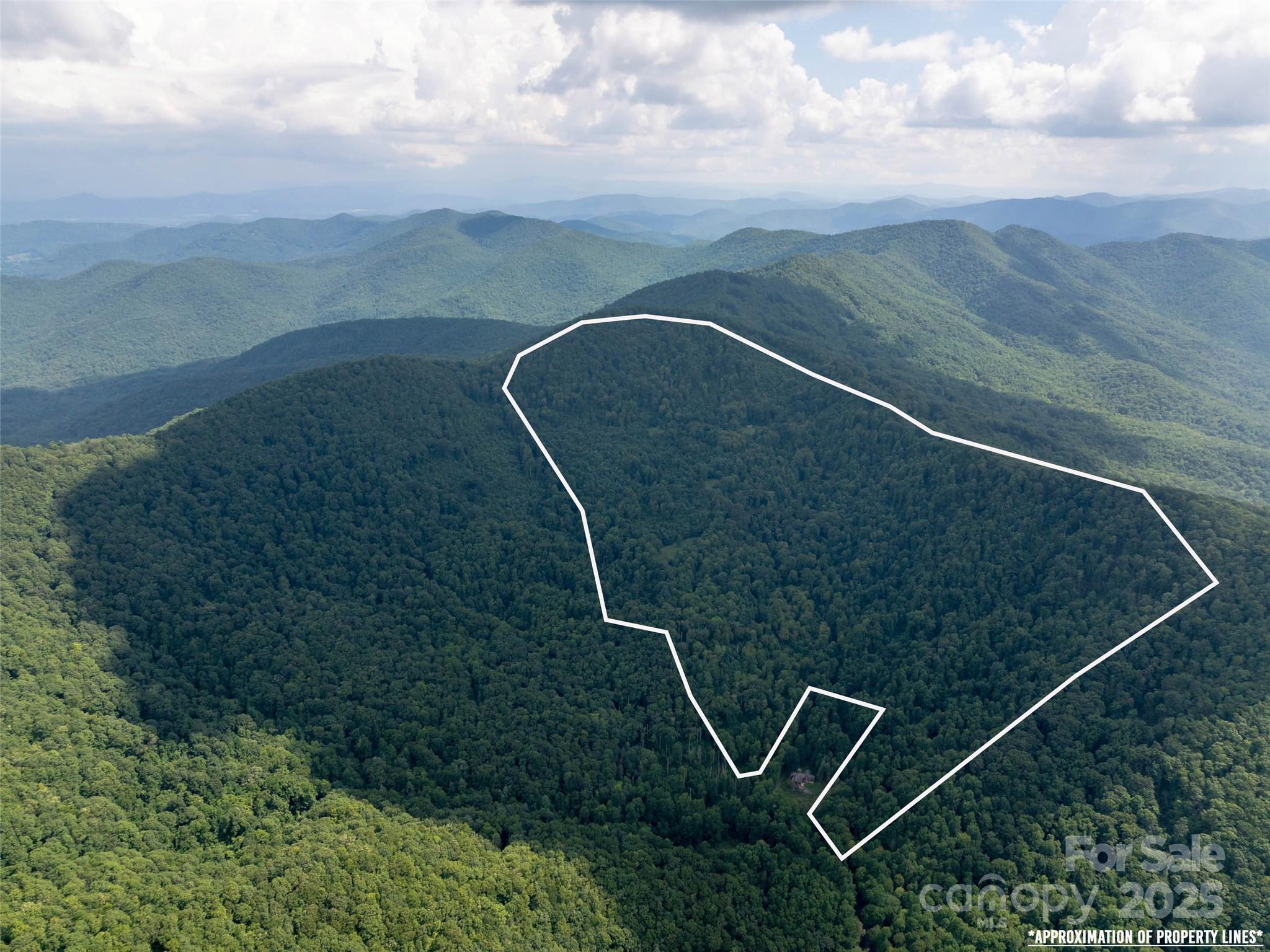 99999 Billy Cove Road Candler NC 28715